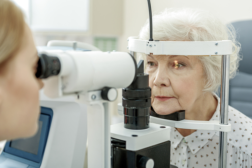 Degeneração Macular Relacionada à Idade: fatores de risco